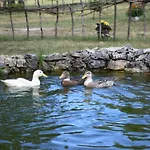Lodge Etno Selo Dodig Drvar