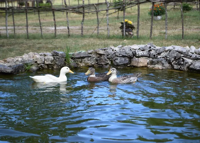 Chata Etno Selo Dodig Drvar